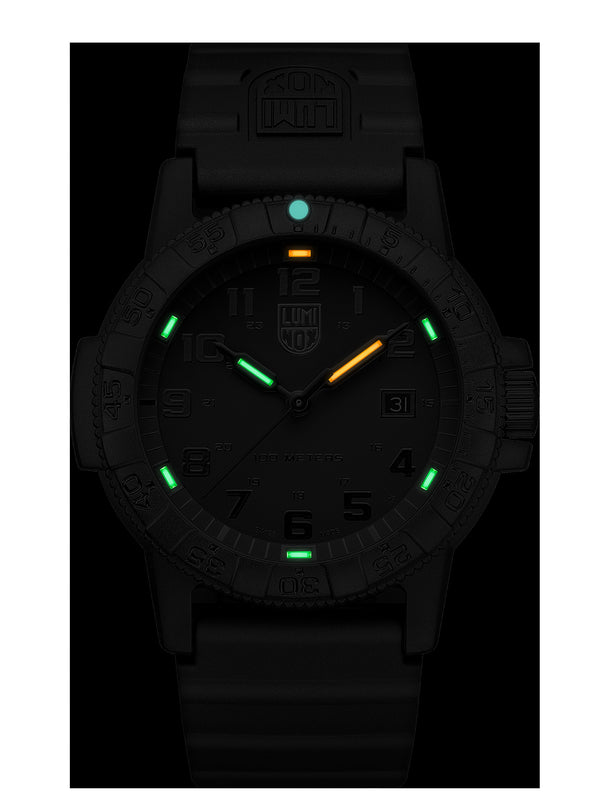 Luminox SEA Turtle Giant XS.0321.BO.L